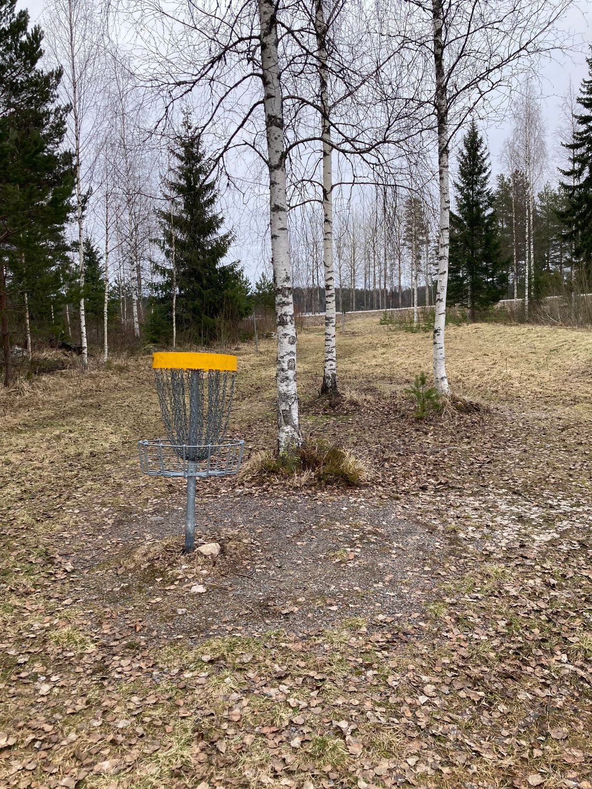 Course photo