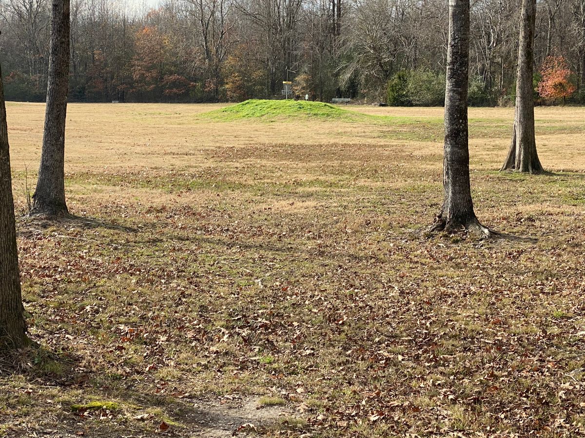 Hole 12 fairway and green on the hill