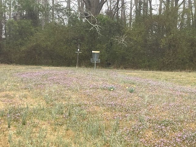 Hole 7 basket hole 8 tee pad.