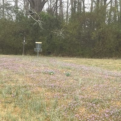 Hole 7 basket hole 8 tee pad.