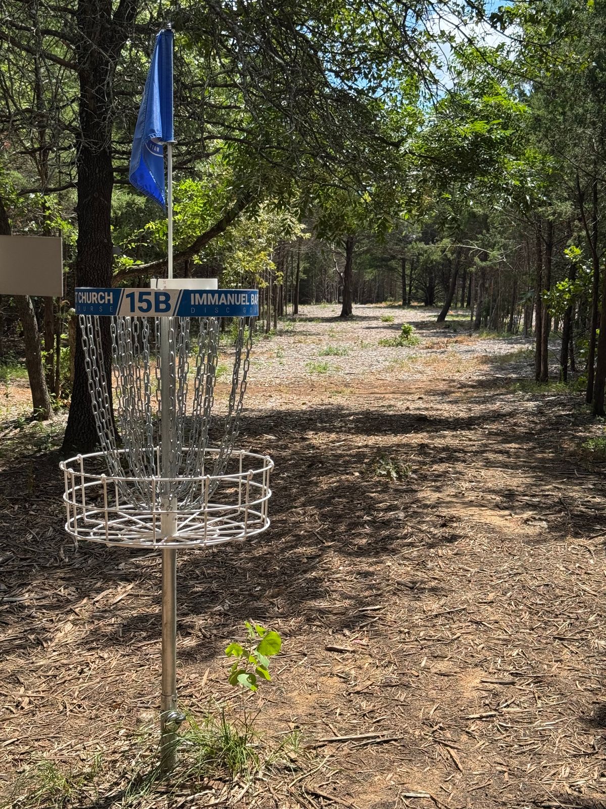 #15 looking back from long basket