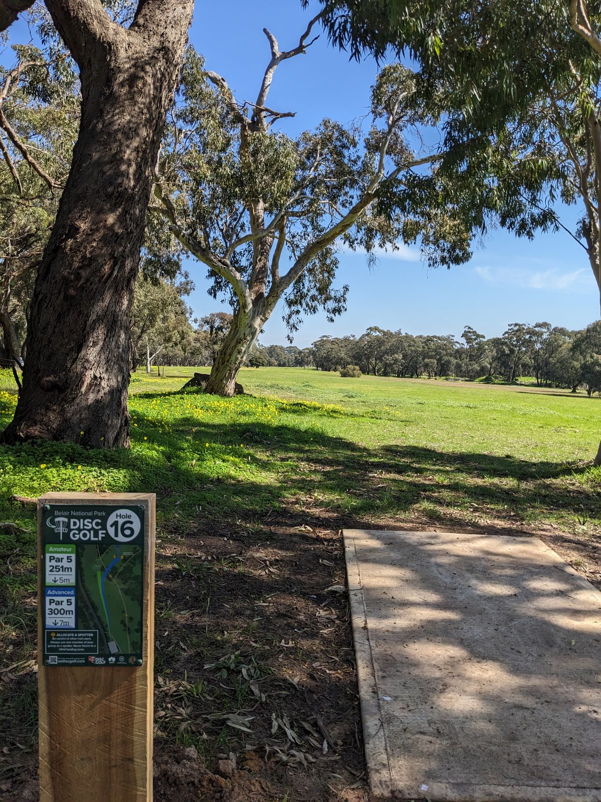 Hole 16