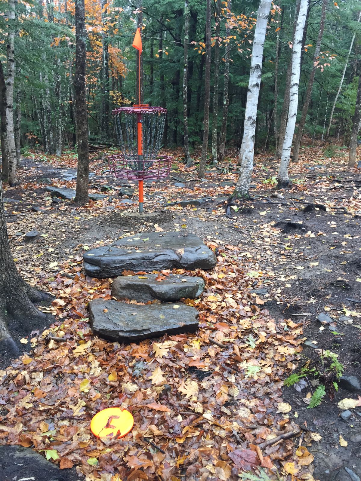 Original basket on Hole B