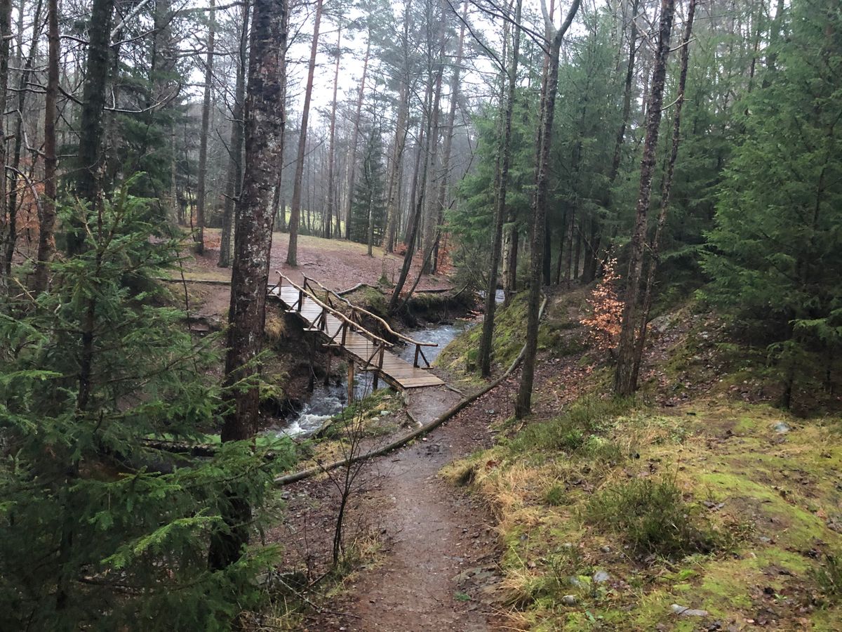 Beautiful Yellow course