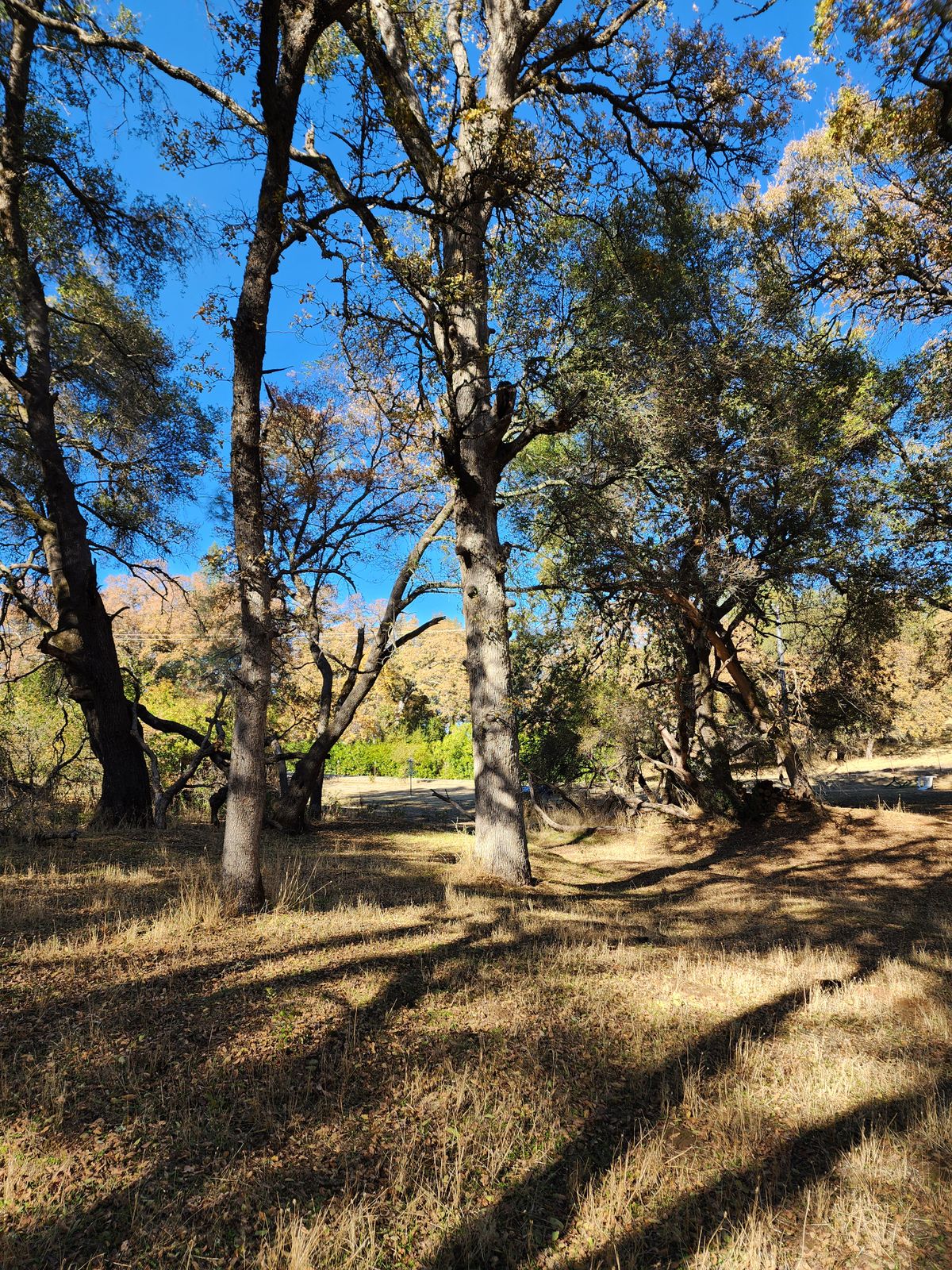 Hole 11 Fairway