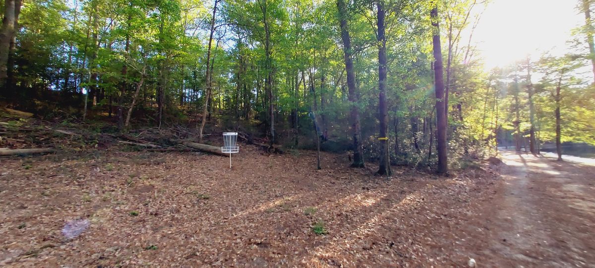 Hole 4 pin