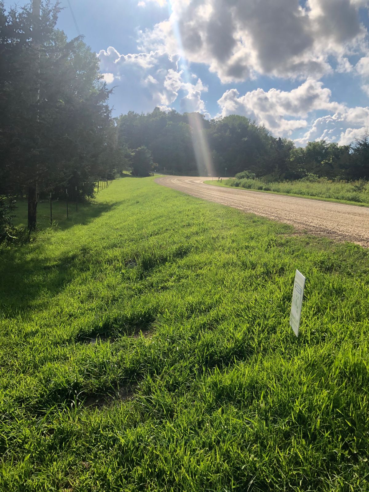 Tee Hole 8 (uneven tee, road no grass OB, driveway OK)