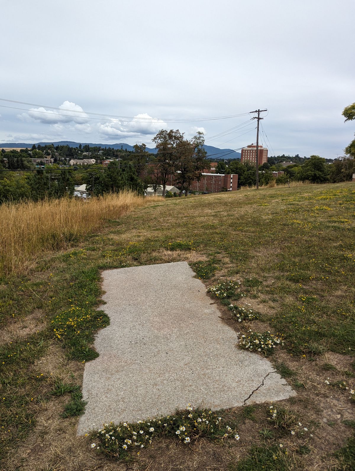 Tee pad #5