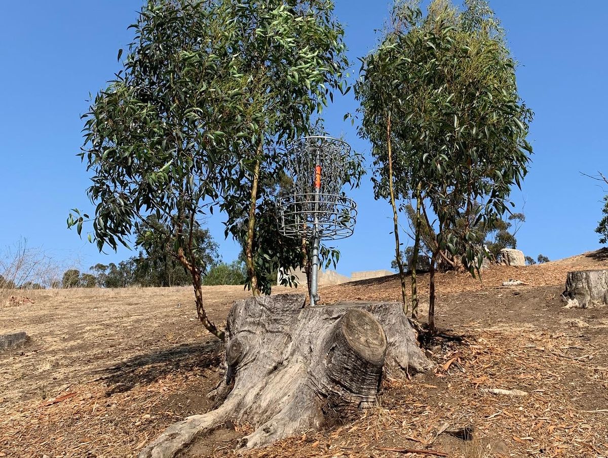Hole 1 Lower Stump 2022
