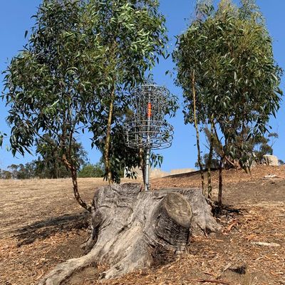 Hole 1 Lower Stump 2022
