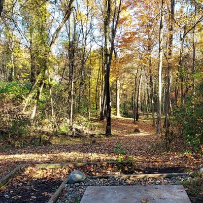 Hole 14