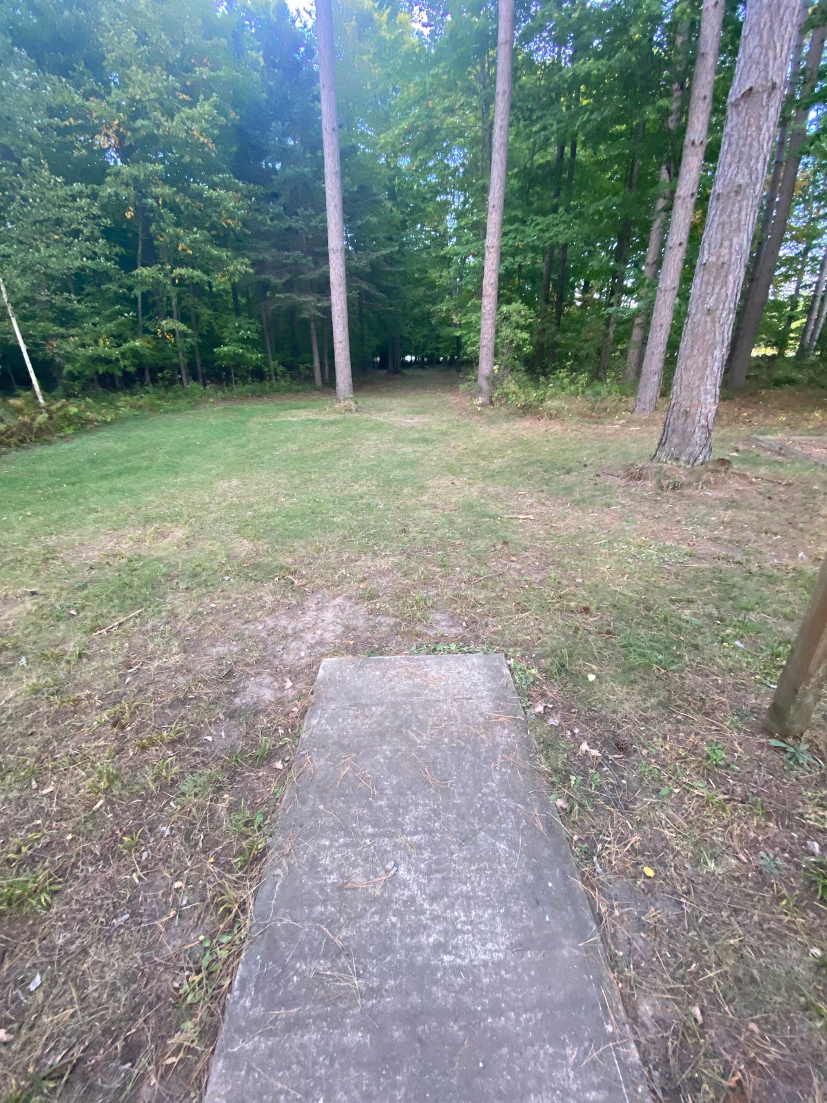 Awesome hole. Number 7. Tight. Low ceiling. But a fun mid range/putter shape. RHBH dogleg left.