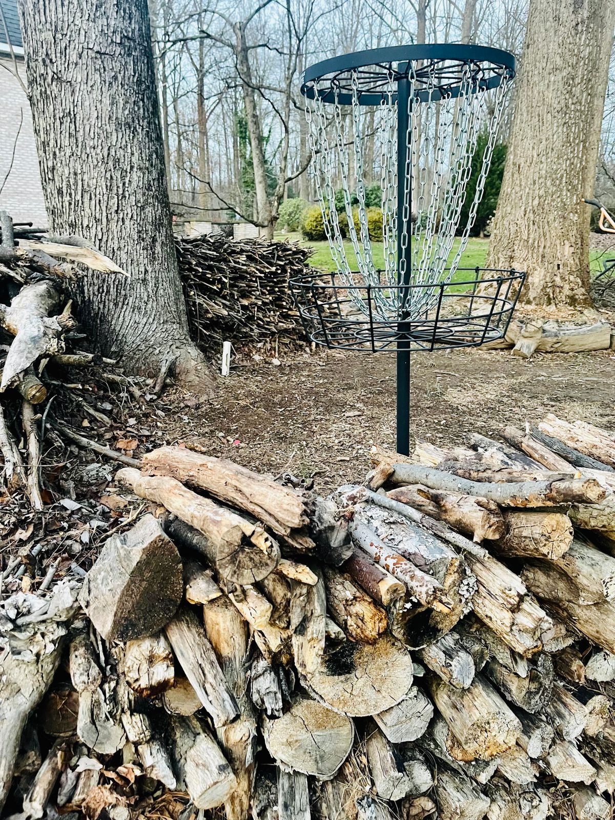 Hole 5 Basket