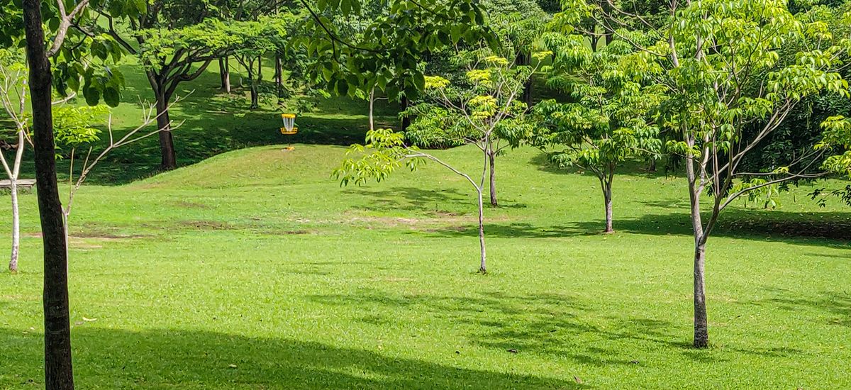 Parque Omar Disc Golf Course
Hole 4 Target