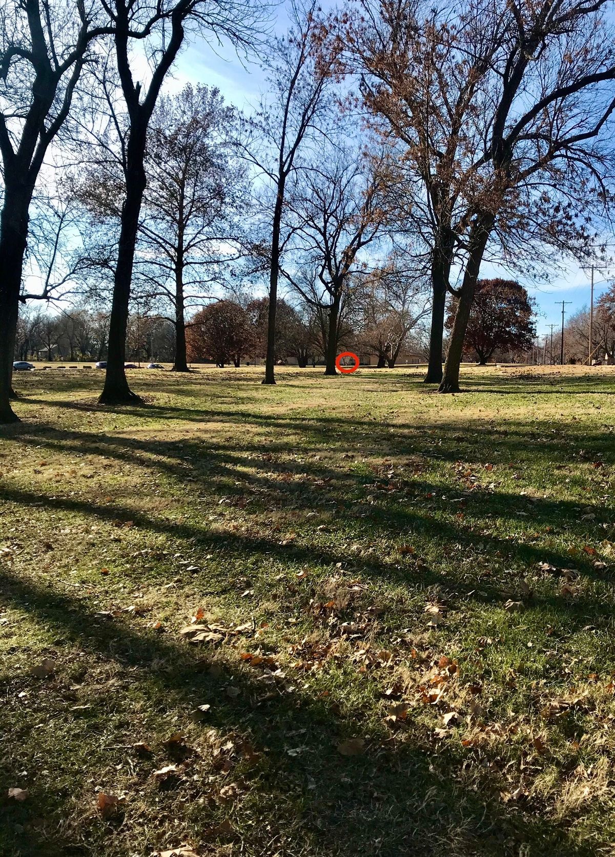 Hole 17 Tee