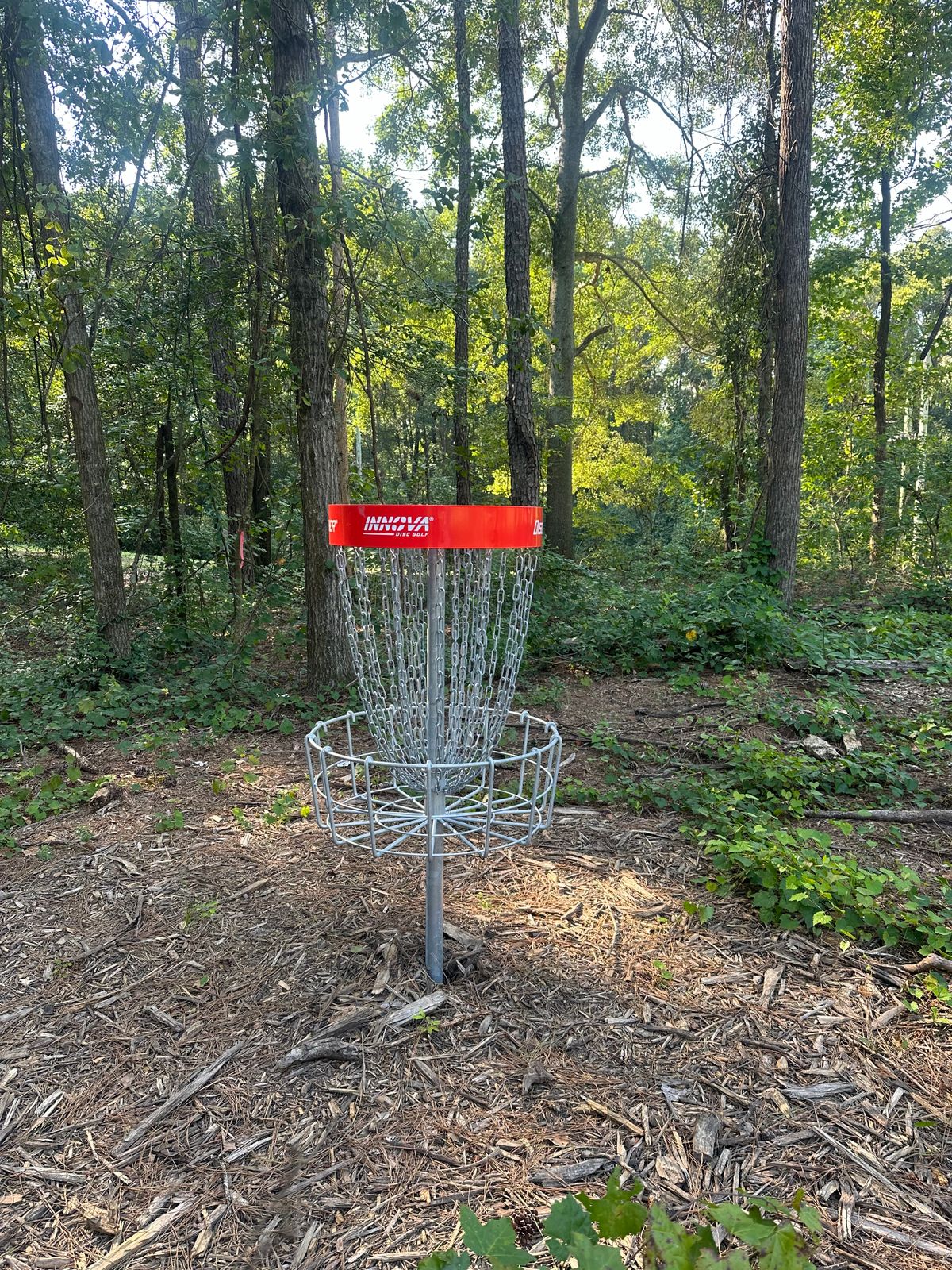 Hole 18’s basket