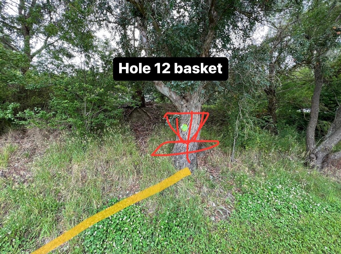 Hole 12 basket