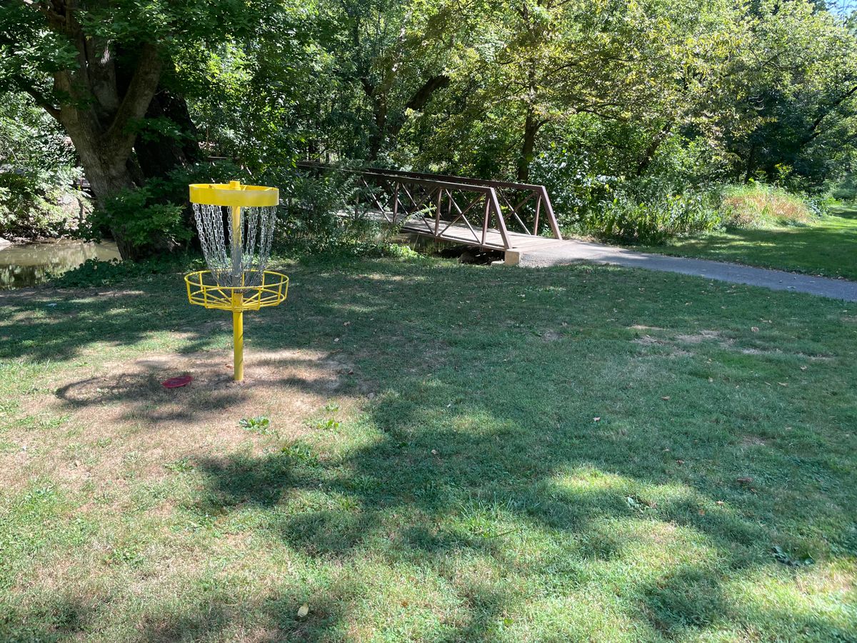Hole 4 Basket