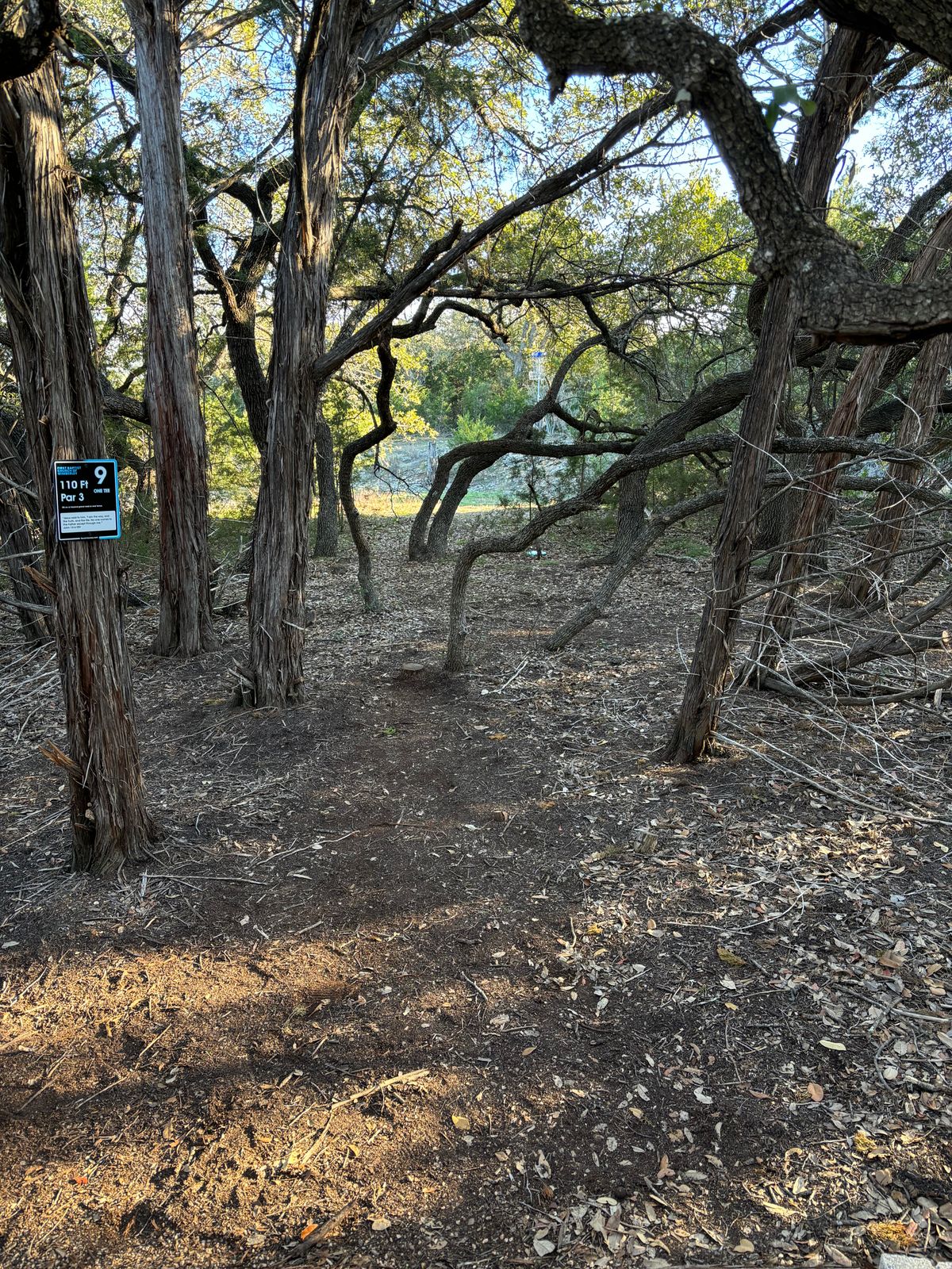 Hole 9 Tee