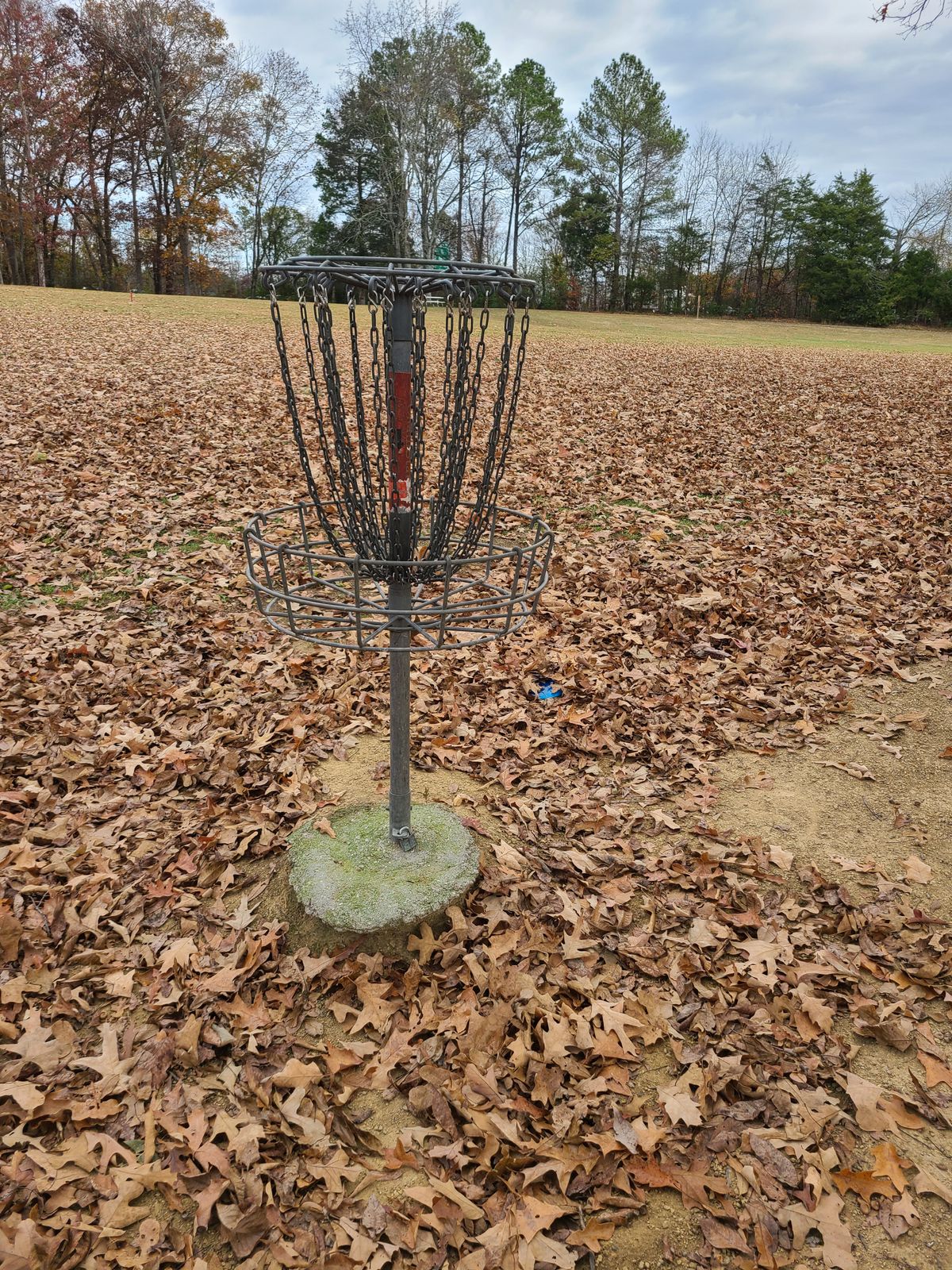 My blue Genius hiding under the leaves at hole 4