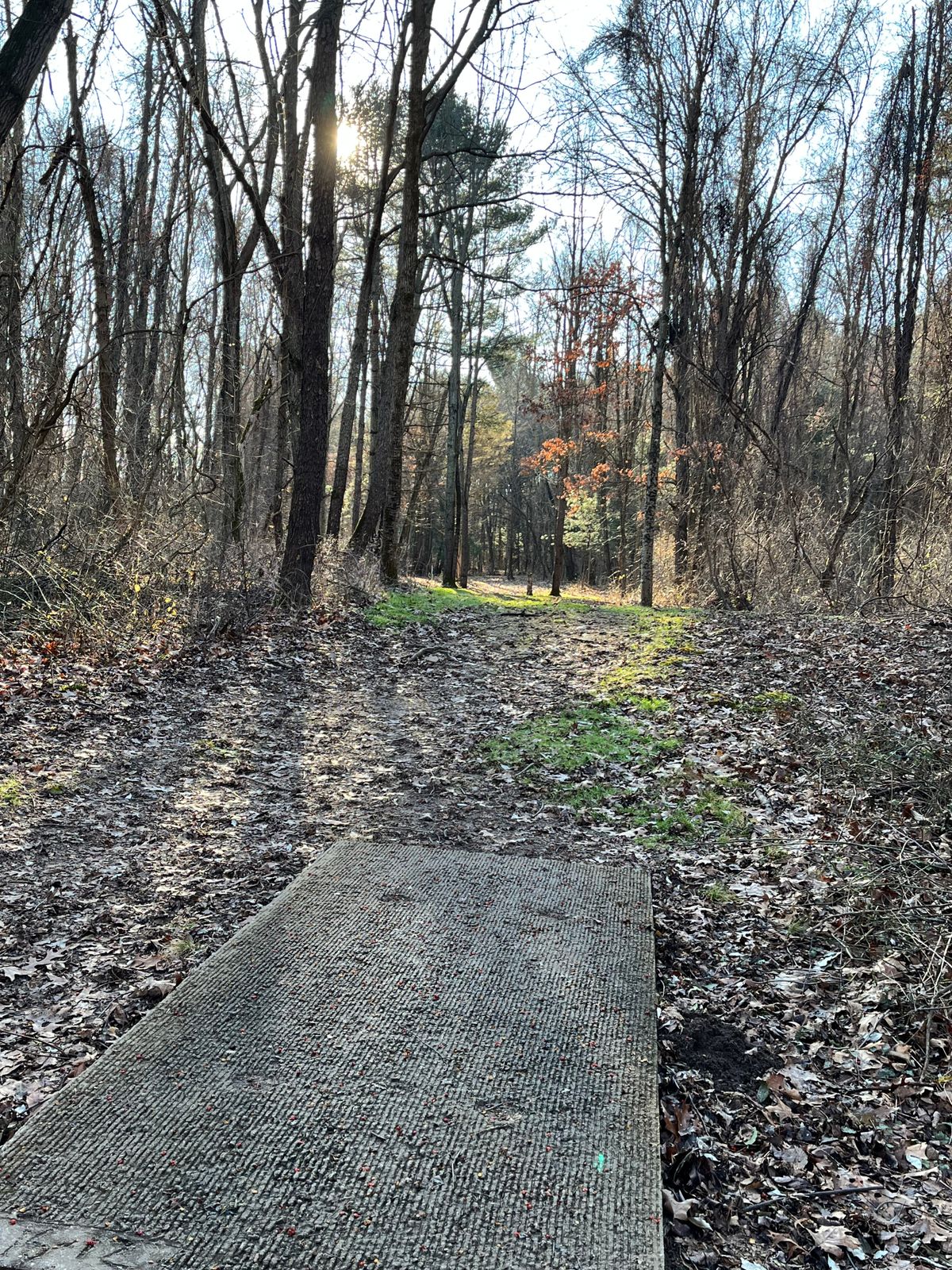 Hole 9
