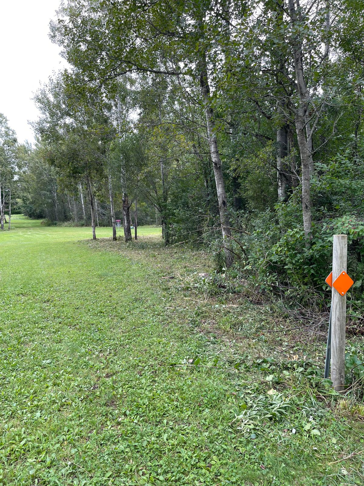 16 looking from right of the tee after clearing of the rough on the right side 
