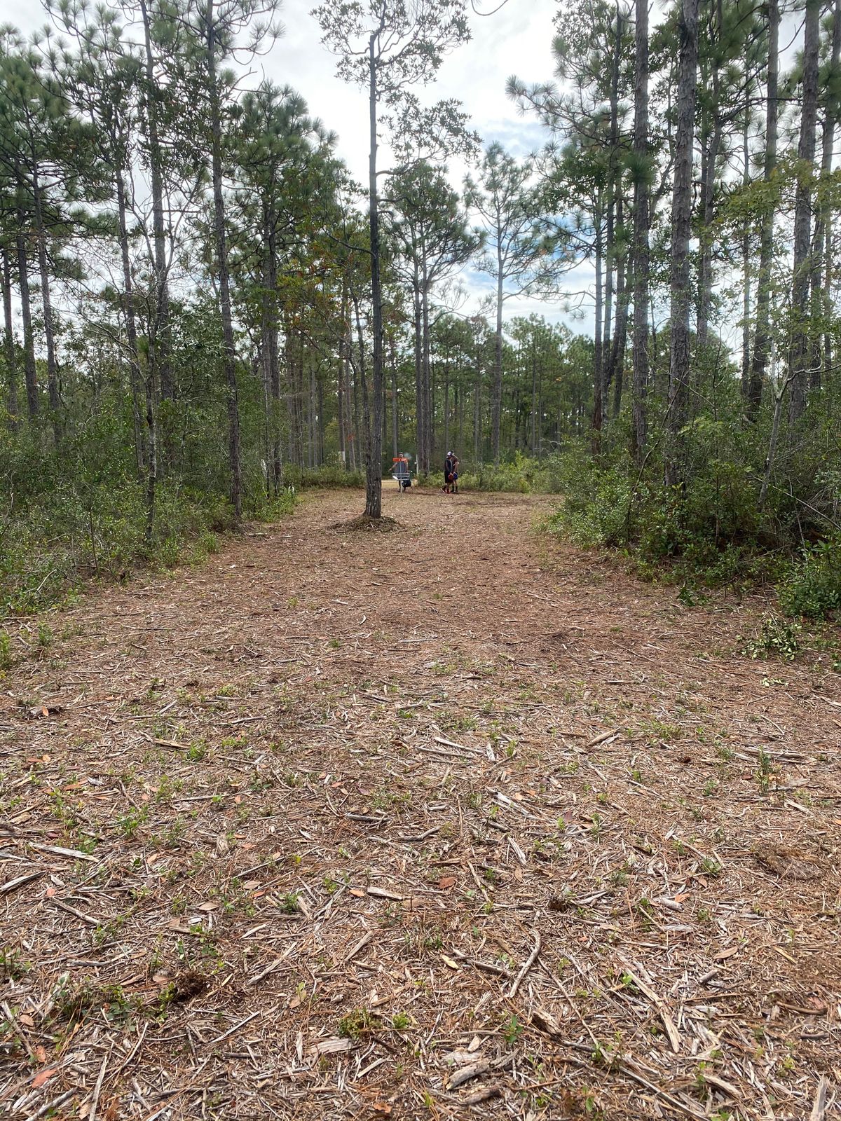 Hole 2 (halfway down the fairway dogleg right)