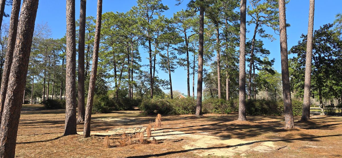 From hole 1 tee pad
