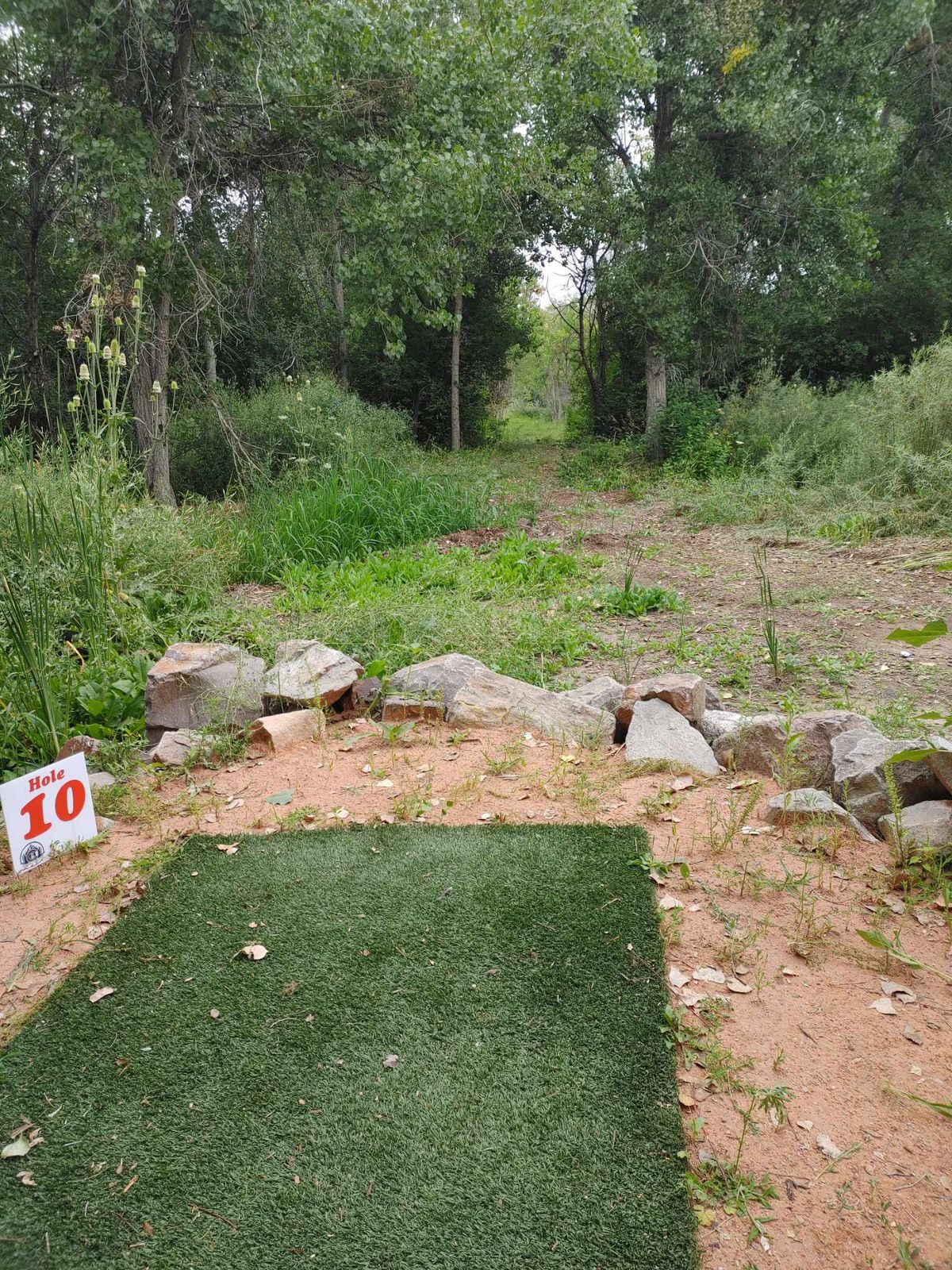 New 2023 Hole 10 - Wicked Tunnel shot with the basket about 280ft off to the left.