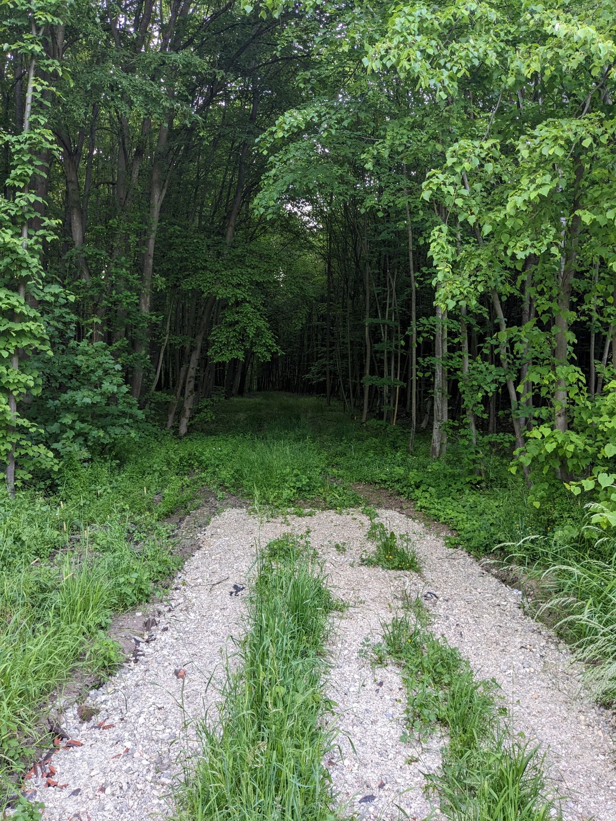 Hole 7