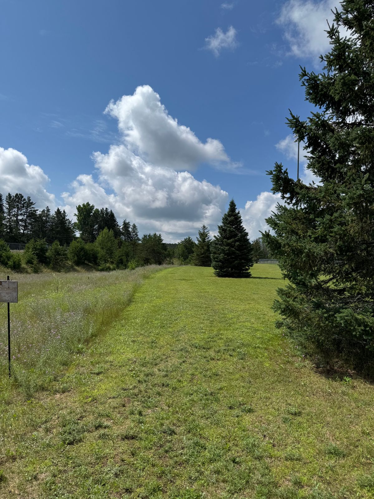 Hole6 tee. Plays towards corner of fence line.