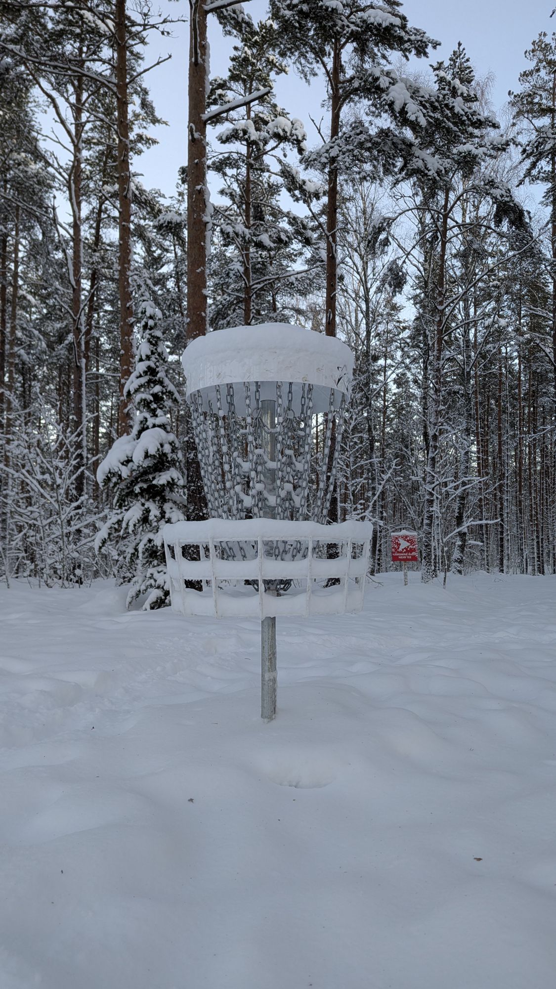Hole 1 basket