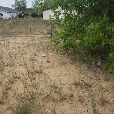 Hole 2 hiding behind a tree