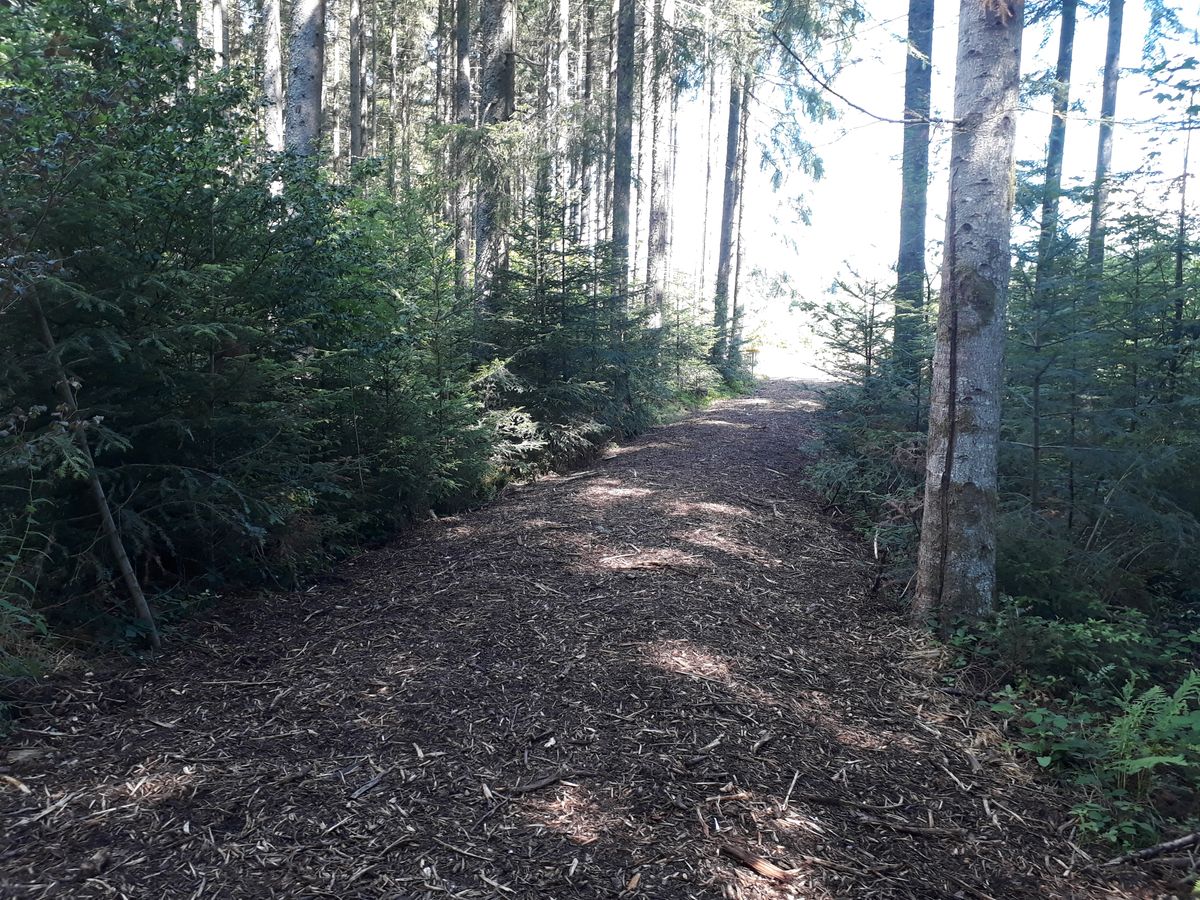 New woodchips for the ground on hole 7 and 8