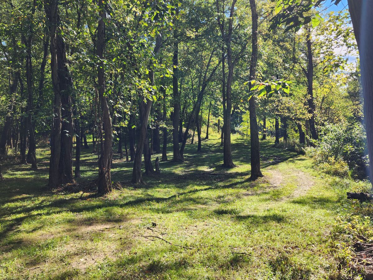 No. 11 fairway