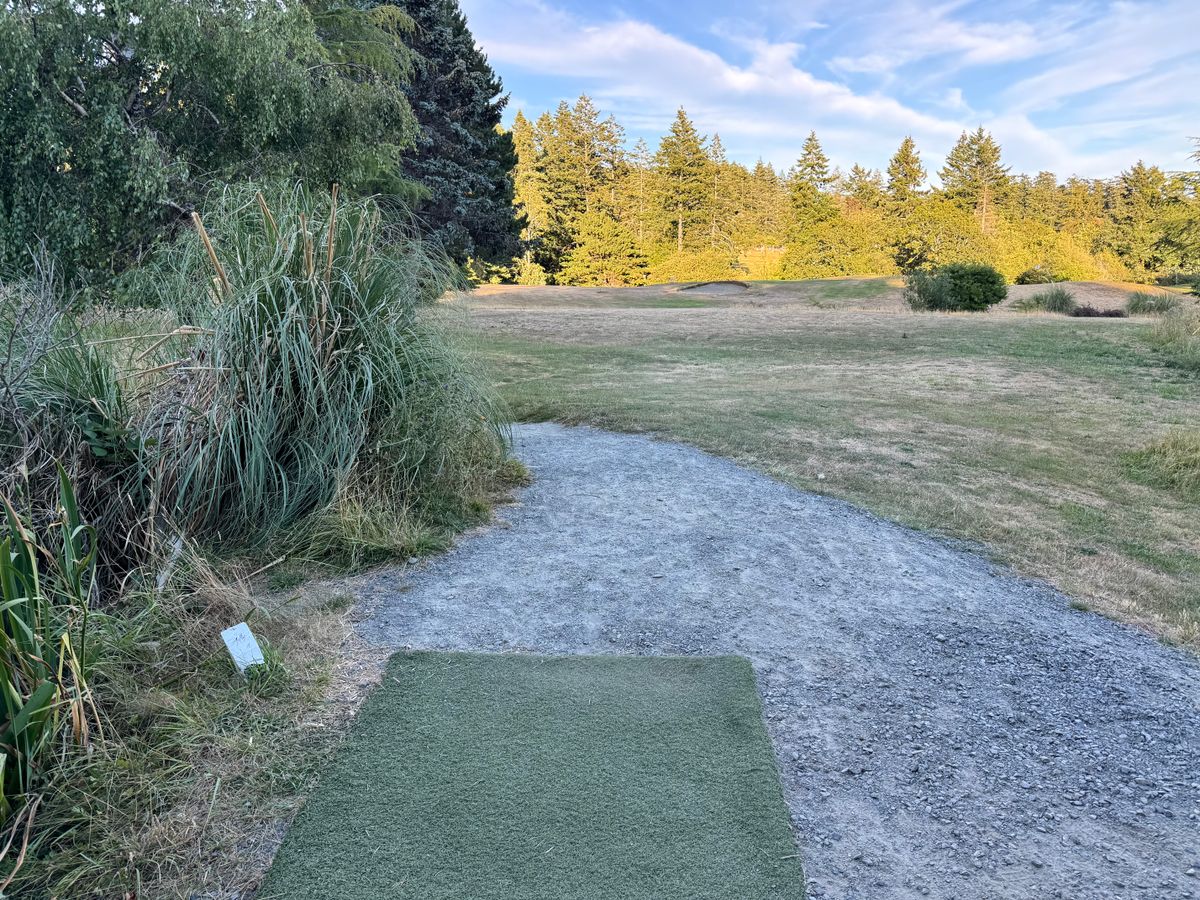 Hole 5