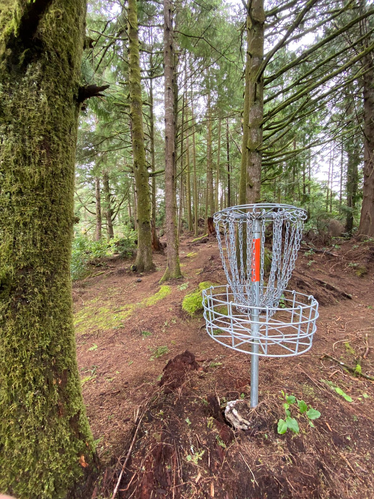 Hole 10
