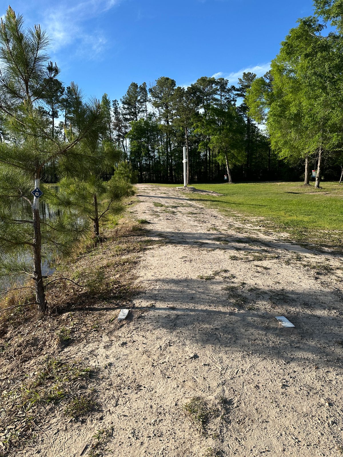 Hole 6 tee