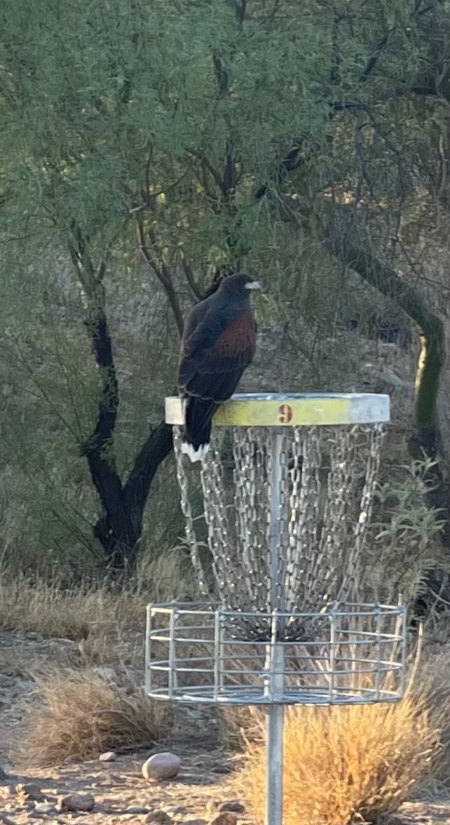 Skunk Creek Disc Golf Course