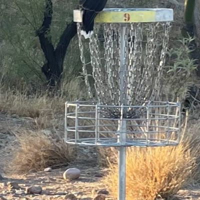Birdie on nine