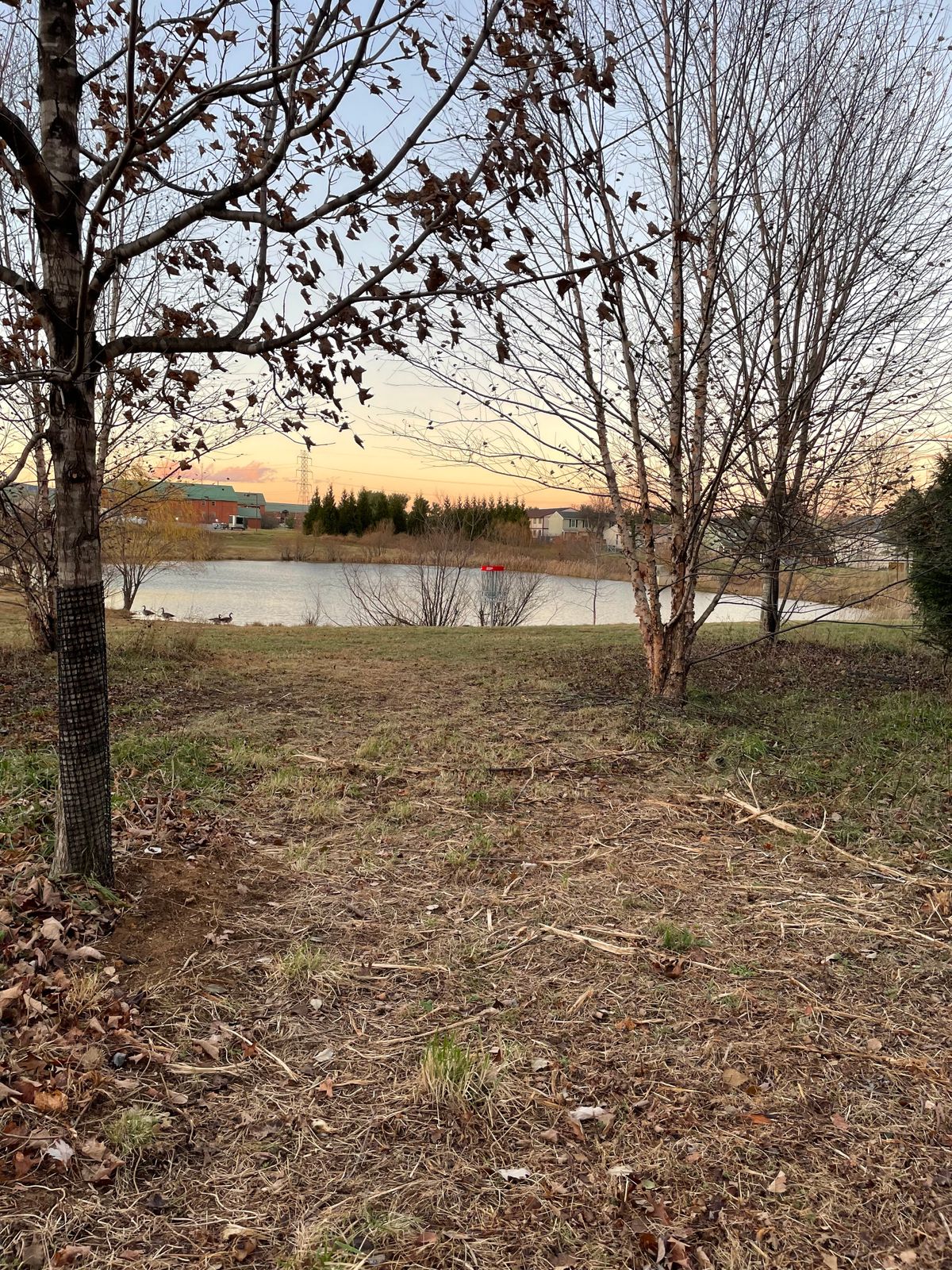 Hole 6