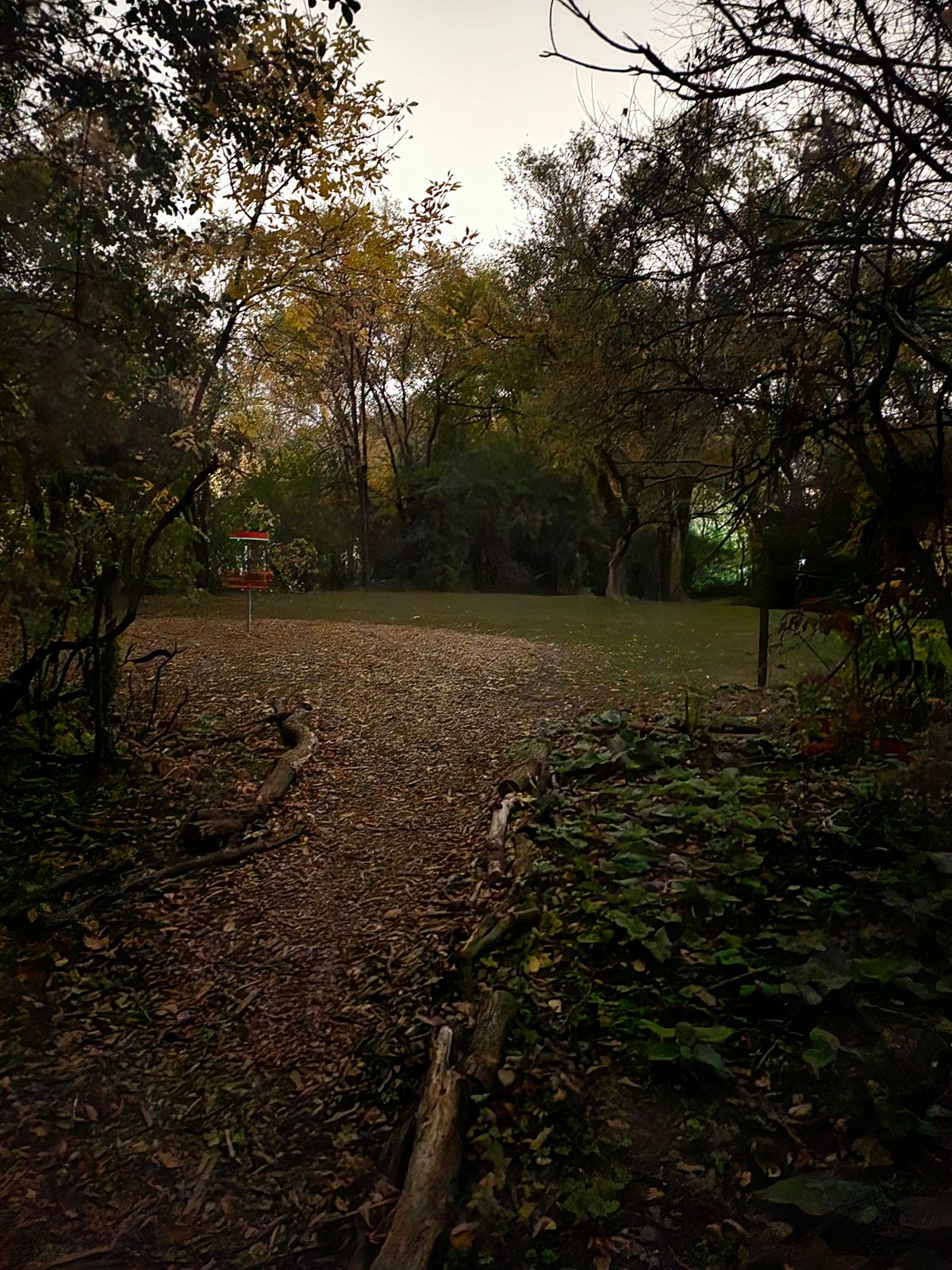 Hole 6/16 green facing the tee. Walking paths were enhanced this year