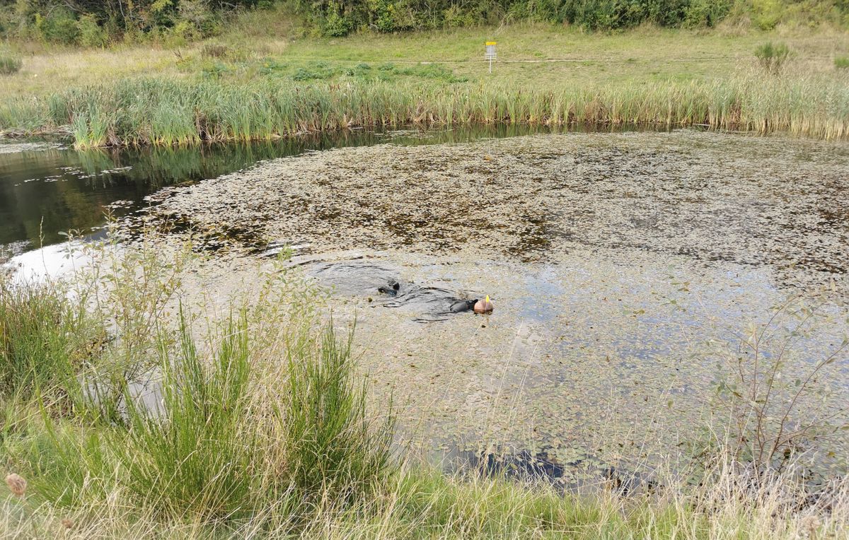 The pond on 18 (and 12 + 17)