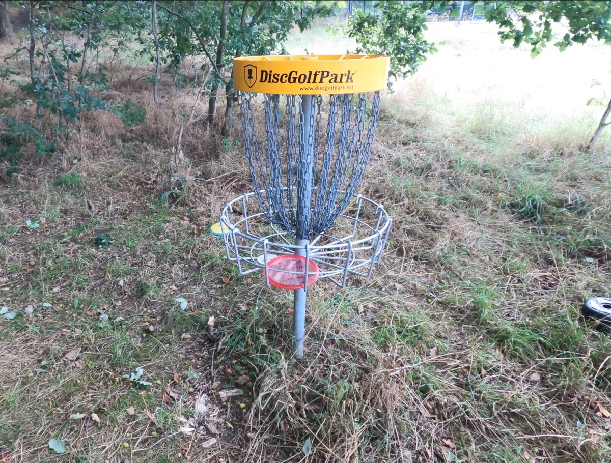 Main Basket 2