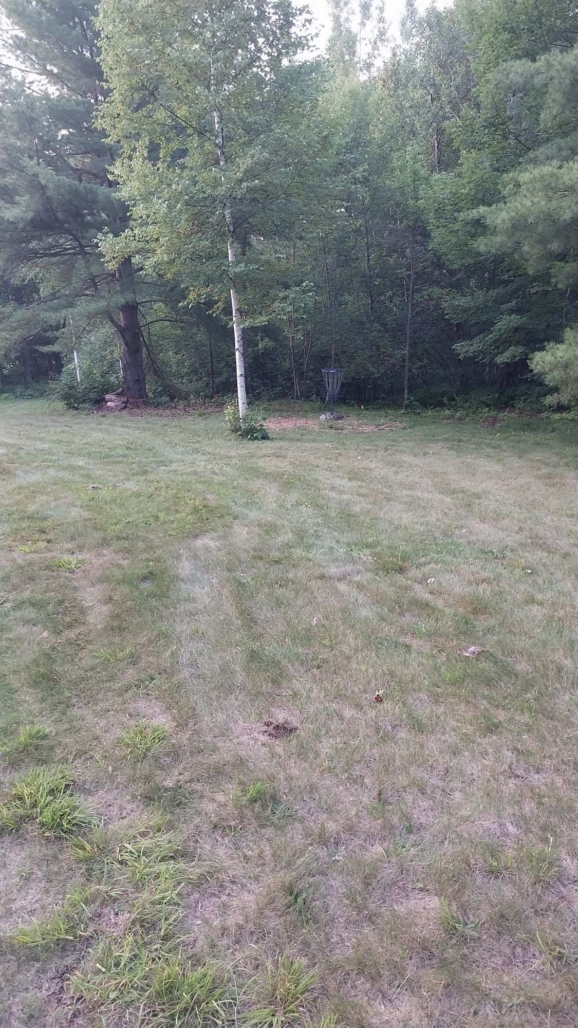 Hole 18 short