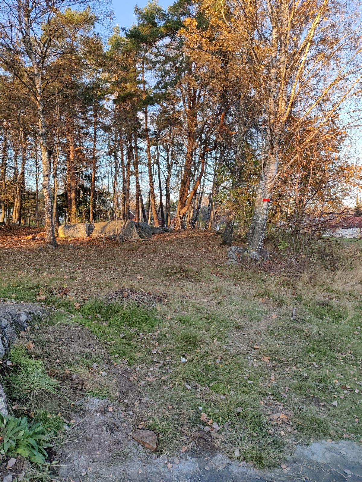 Hål två. Korg syns inte, anhyzer linje