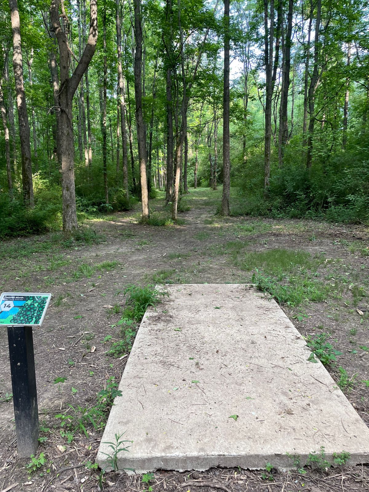 Hole 14