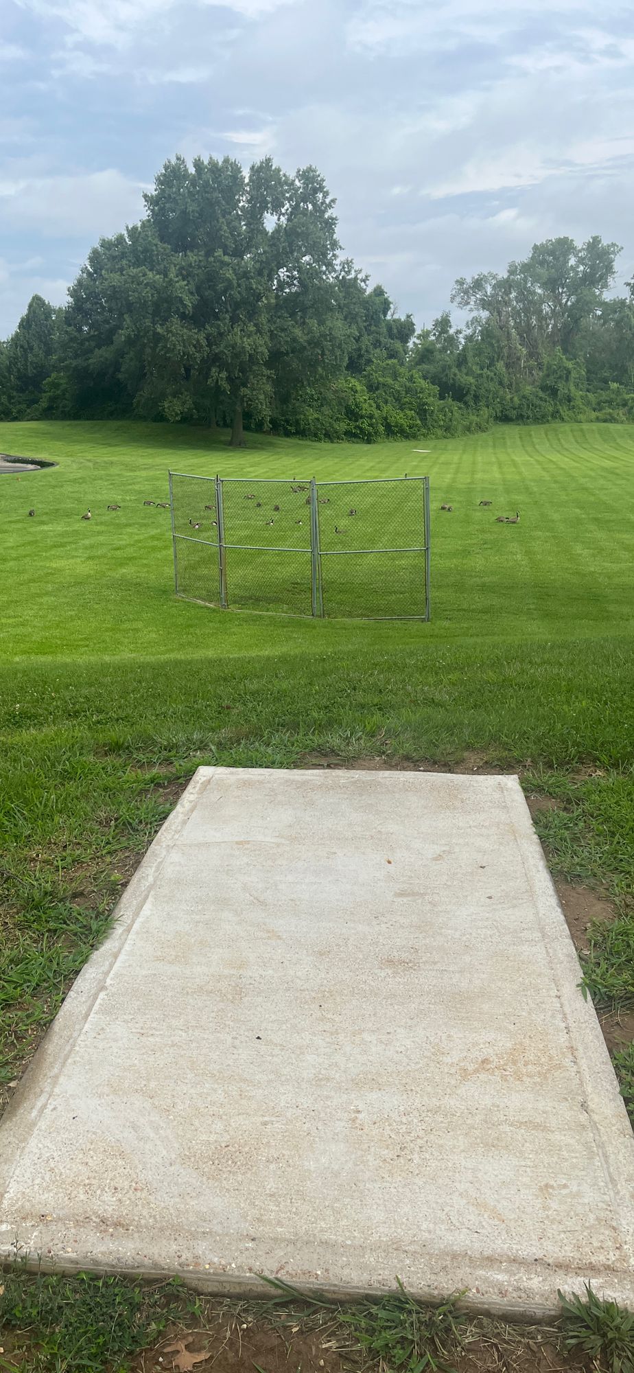 Hole 2 White. Par 3