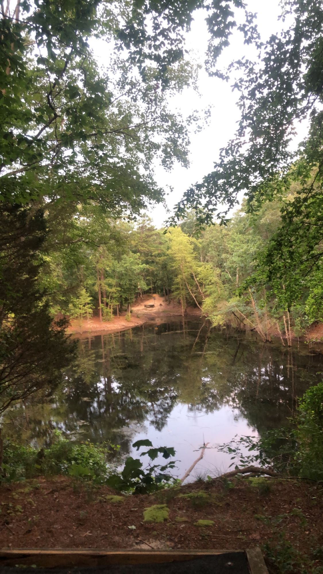 Hole 14