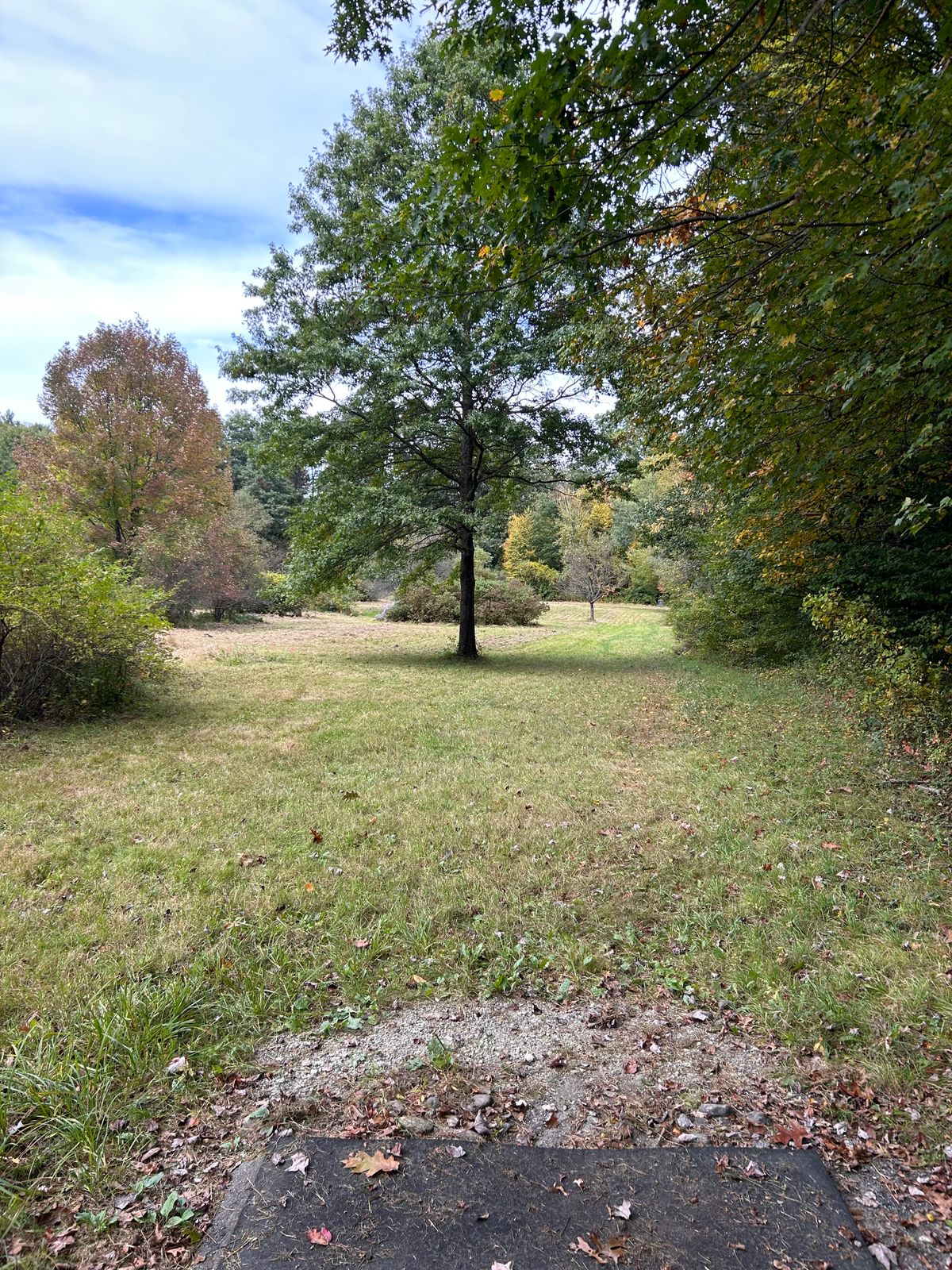 Tee box on hole 9 9/29/24